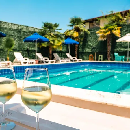 Hotel Lion 3*